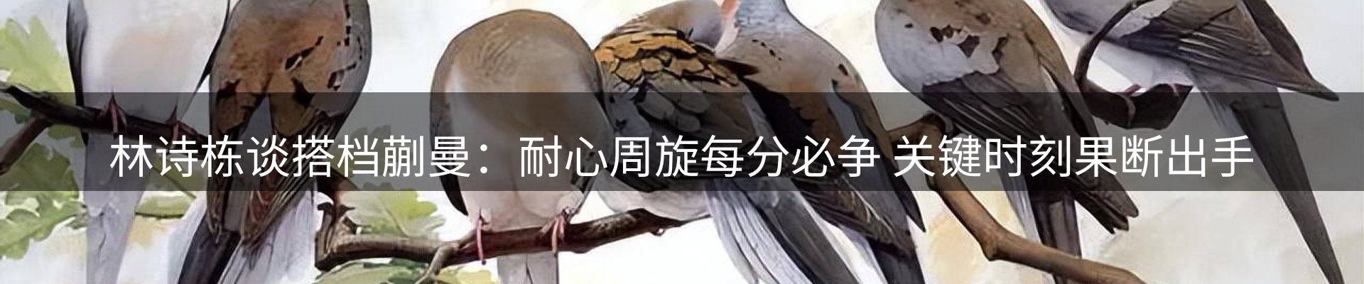 体育资讯