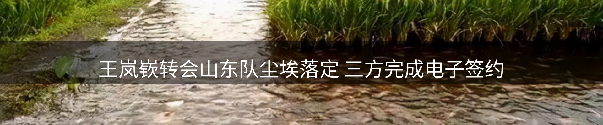 体育资讯