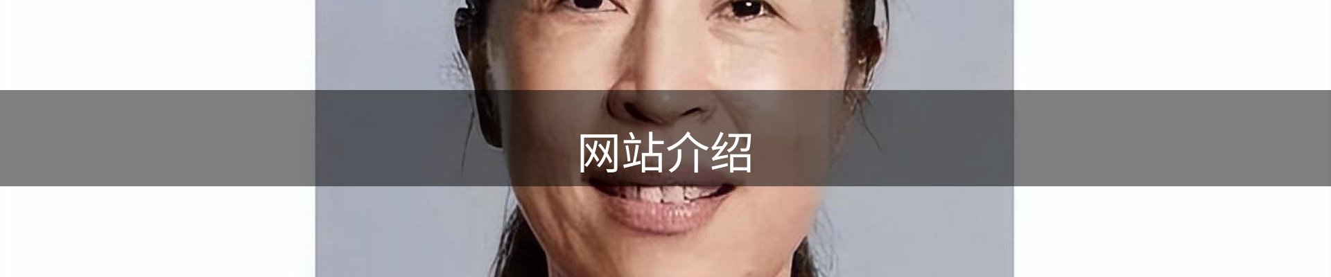 网站介绍